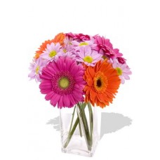 9pcs Mixed Gerbera and Chrysanthemum Vase Bouquet