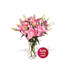 5 Asiatic Lily Bouquet